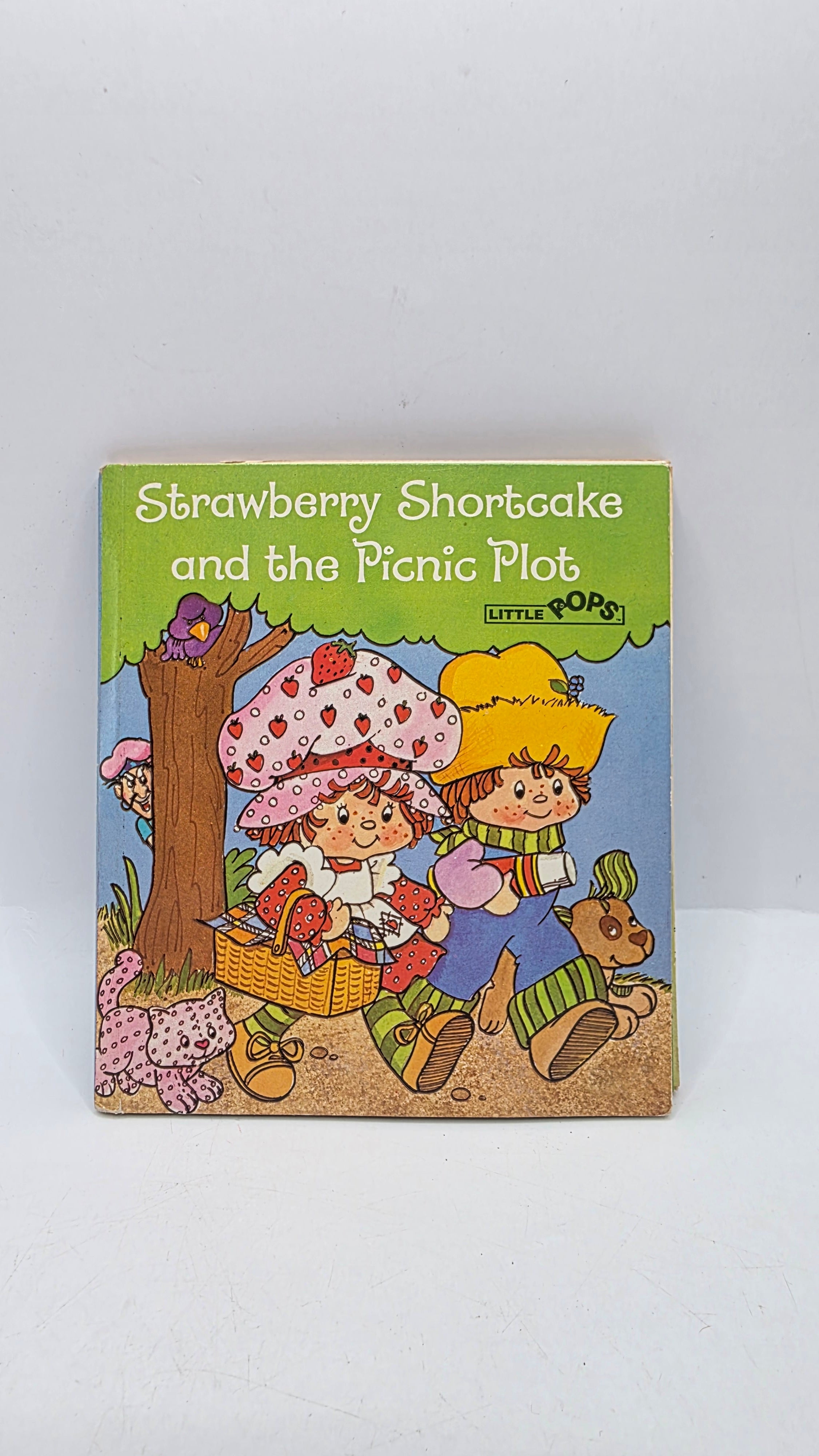 Strawberry Shortcake Pop Up Book