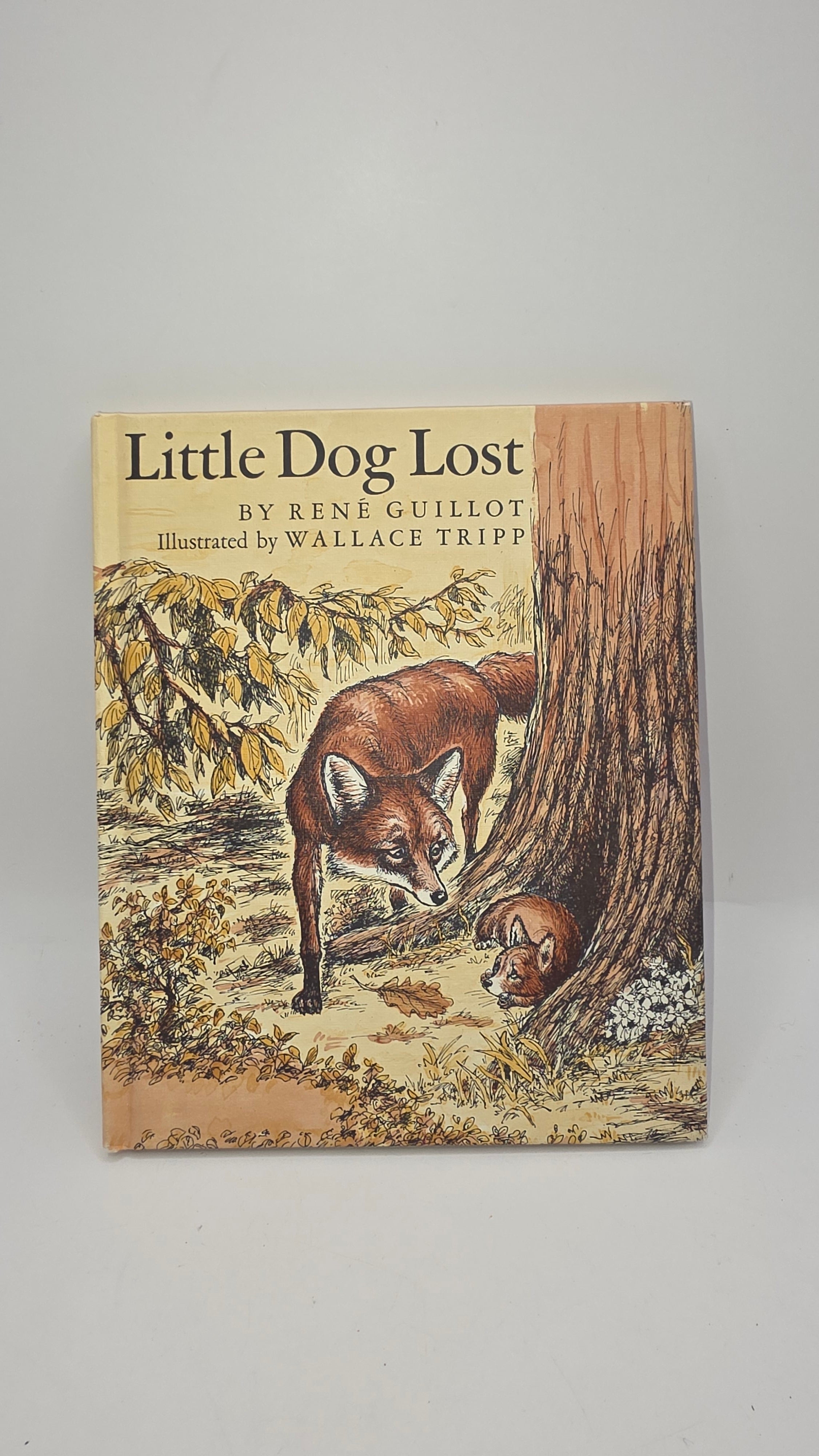 Little Dog Lost