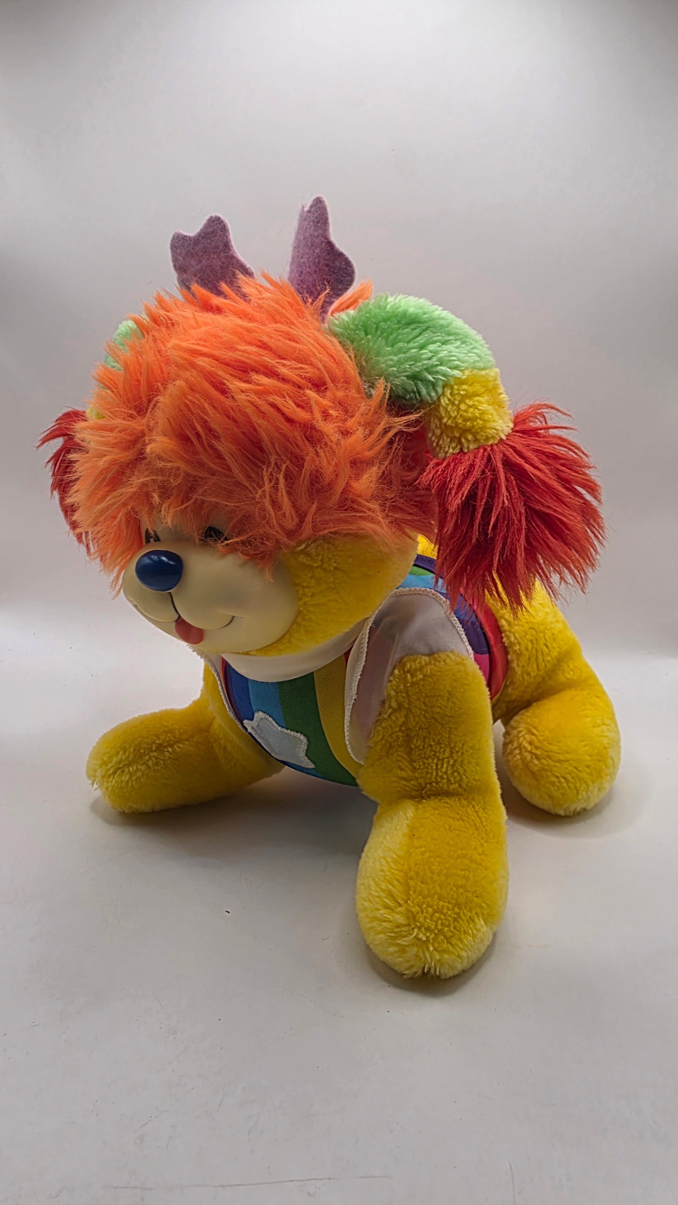 Rainbow Brite Dog
