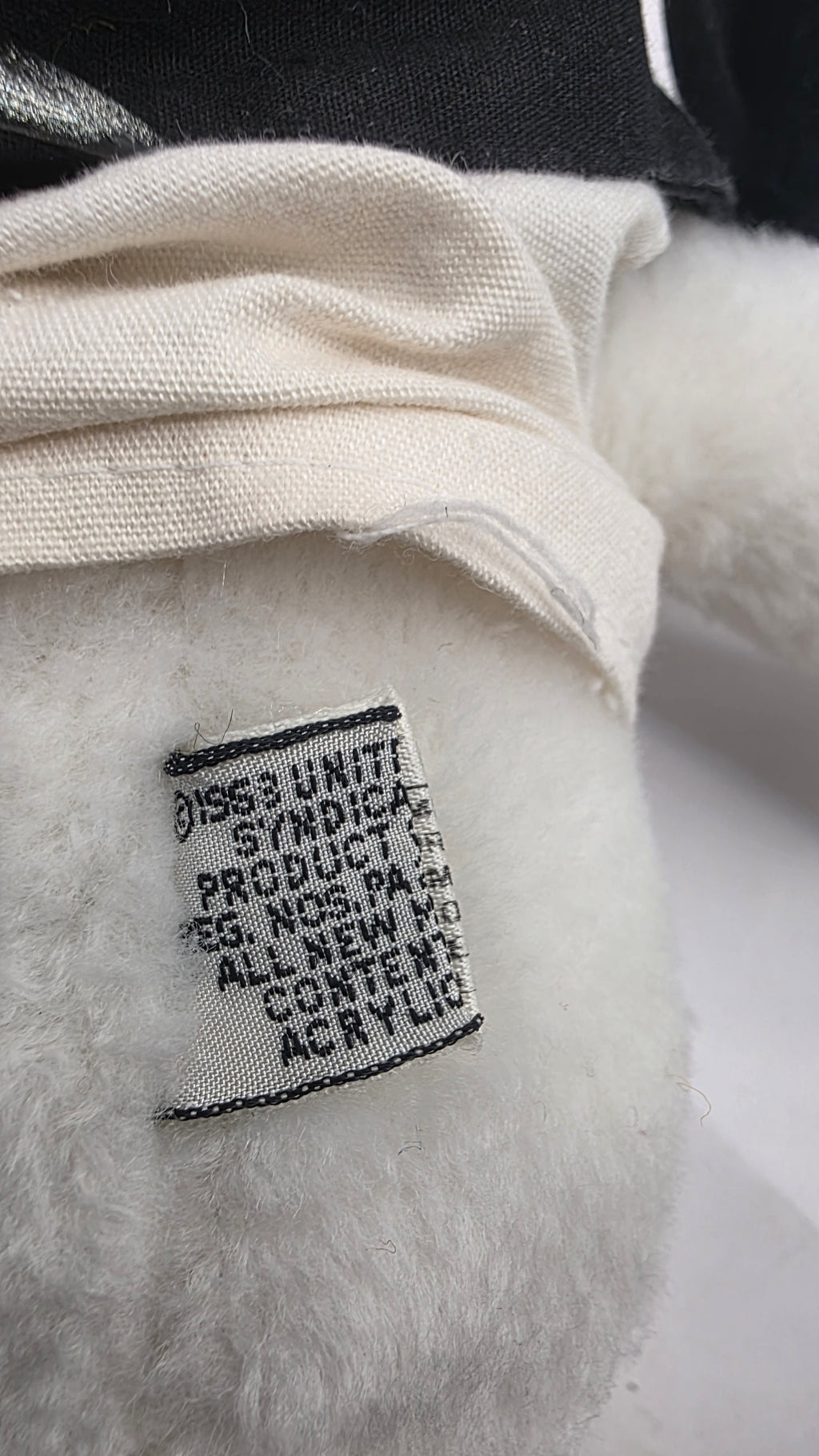 Snoopy With Jacket