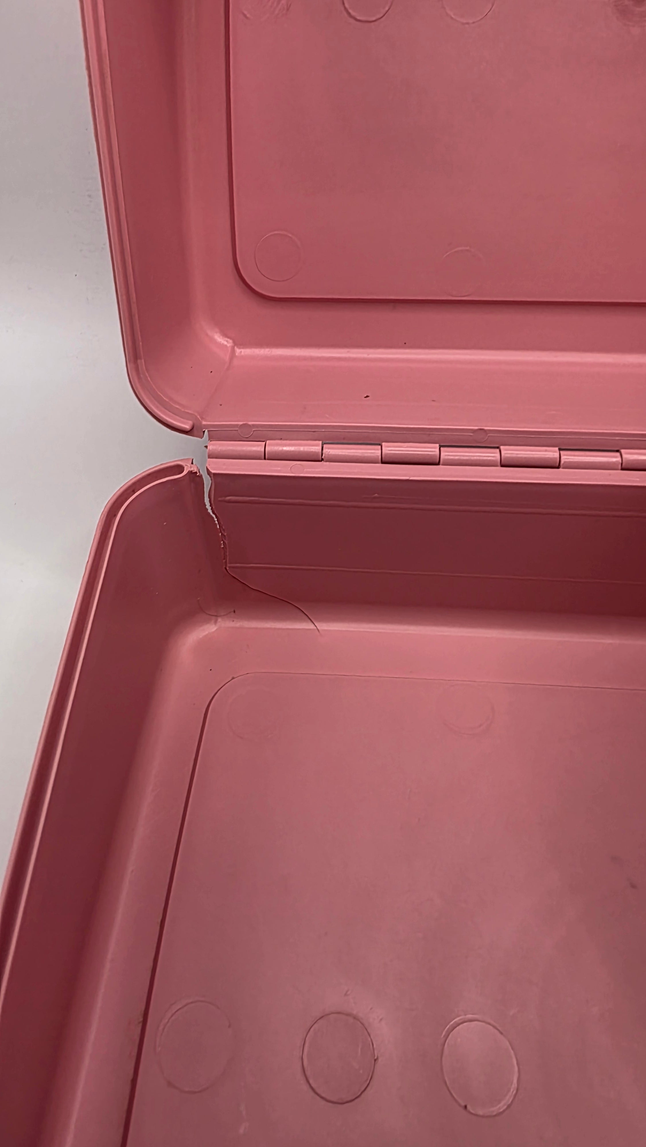 My Child Plastic Lunchbox