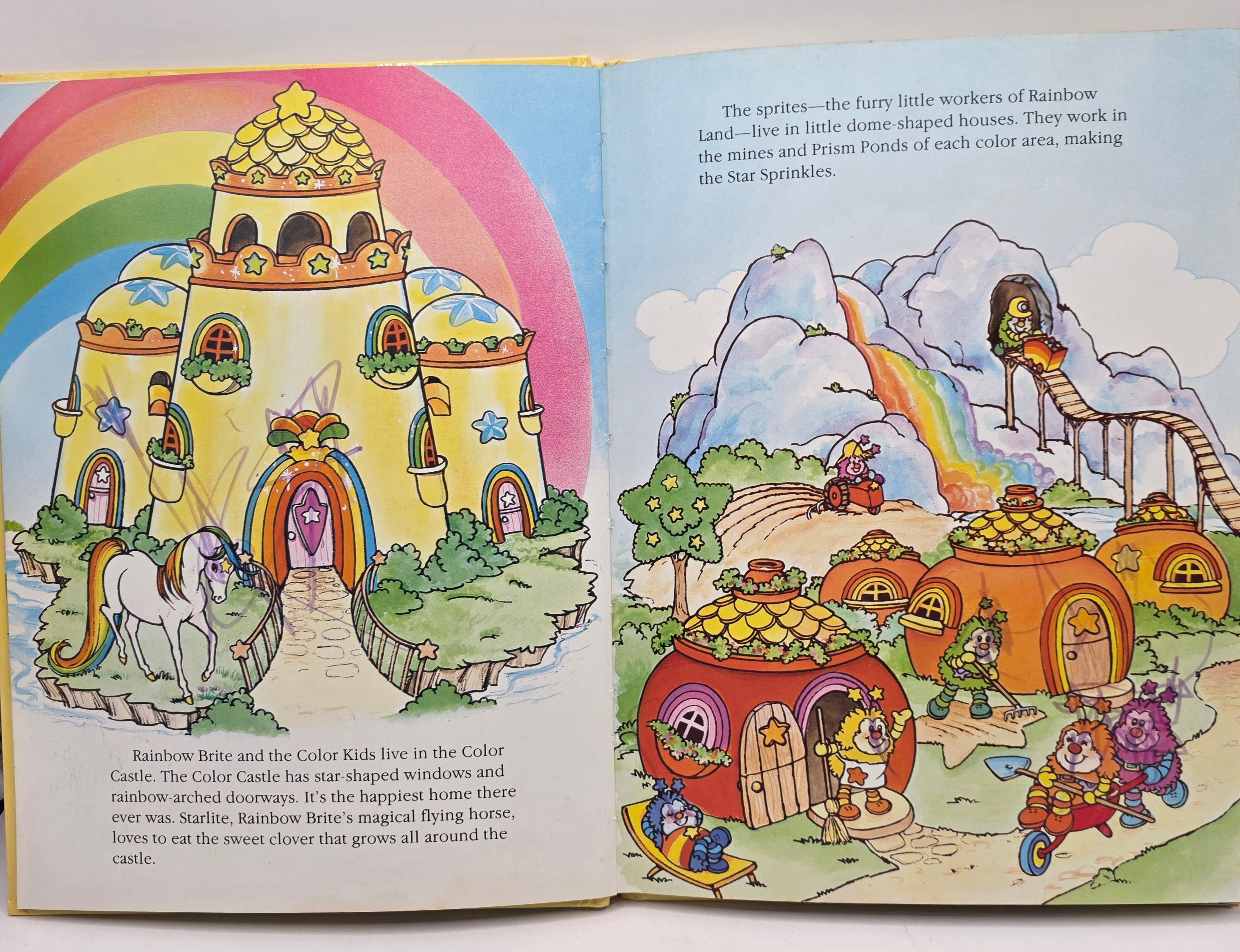 Rainbow Brite Book