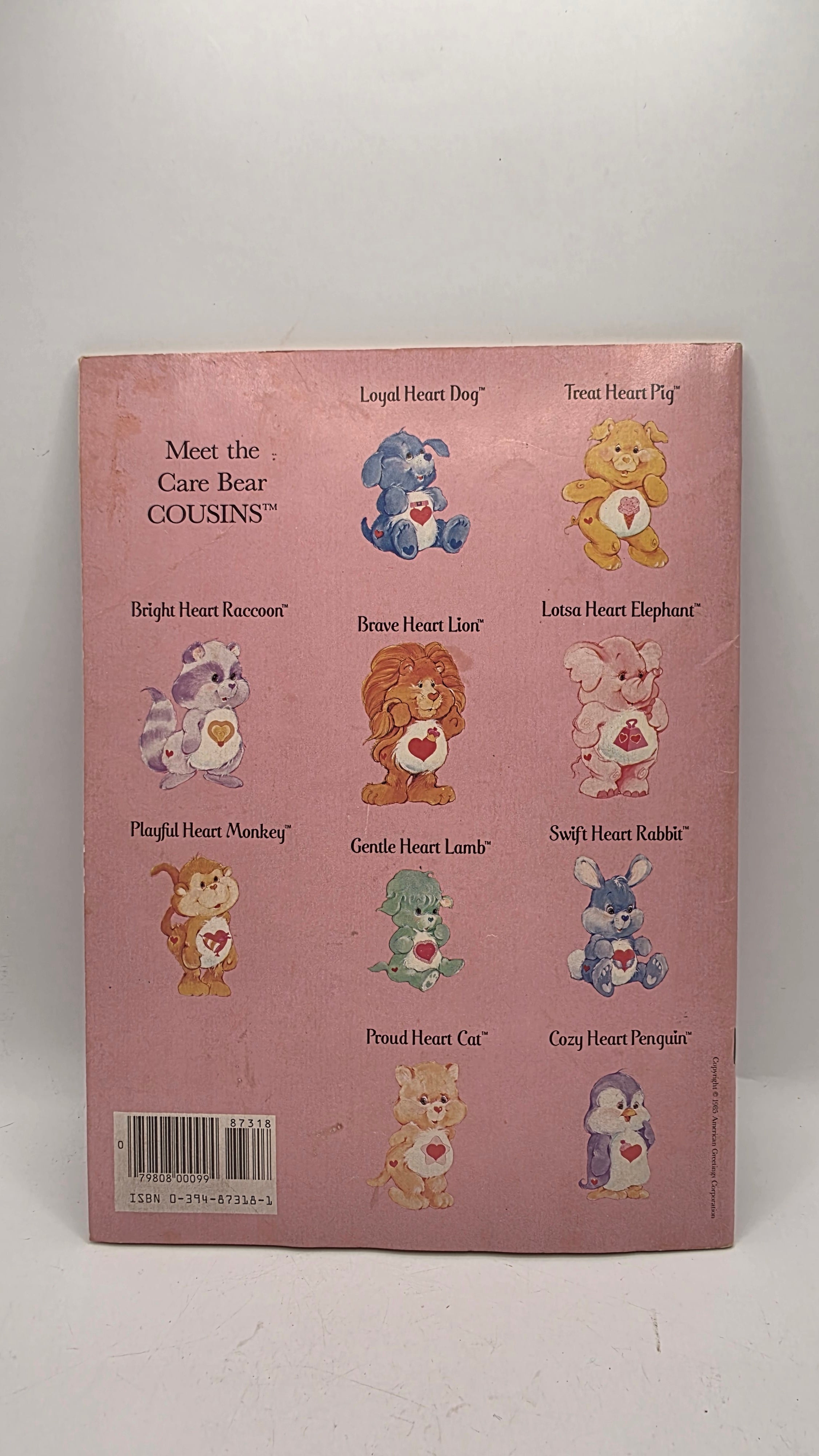 Rhyme and Read Care Bears Coloring Books