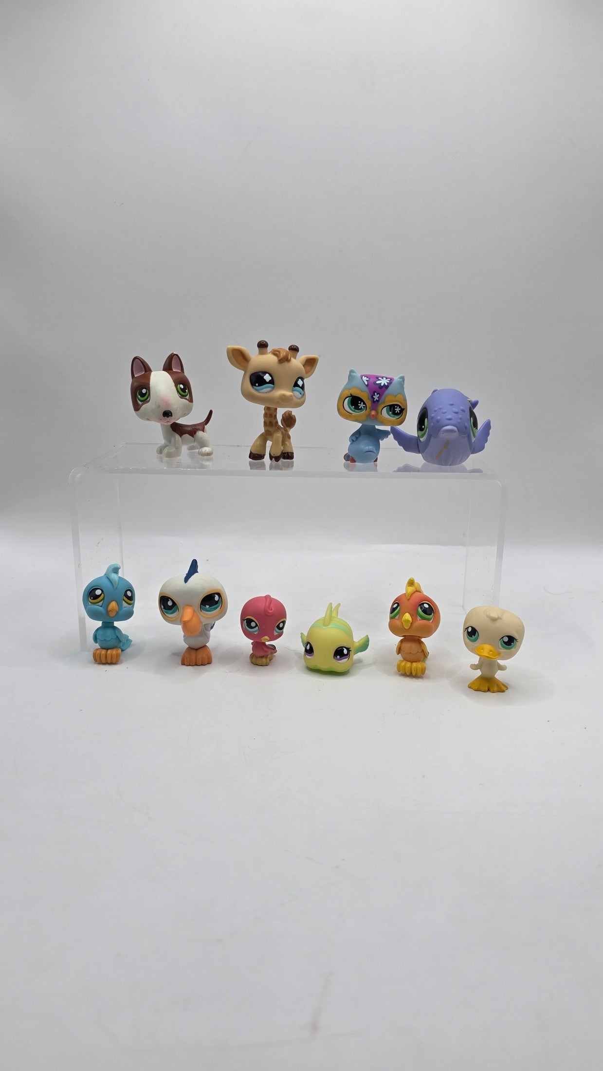LPS Lot