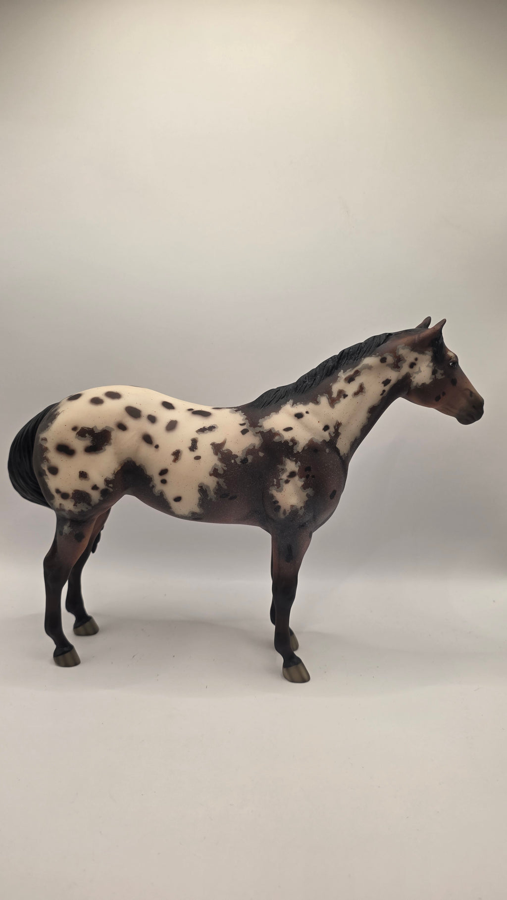 2009 Breyer Fest Sprinkles Matte