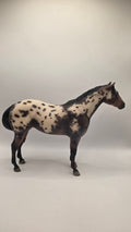 2009 Breyer Fest Sprinkles Matte