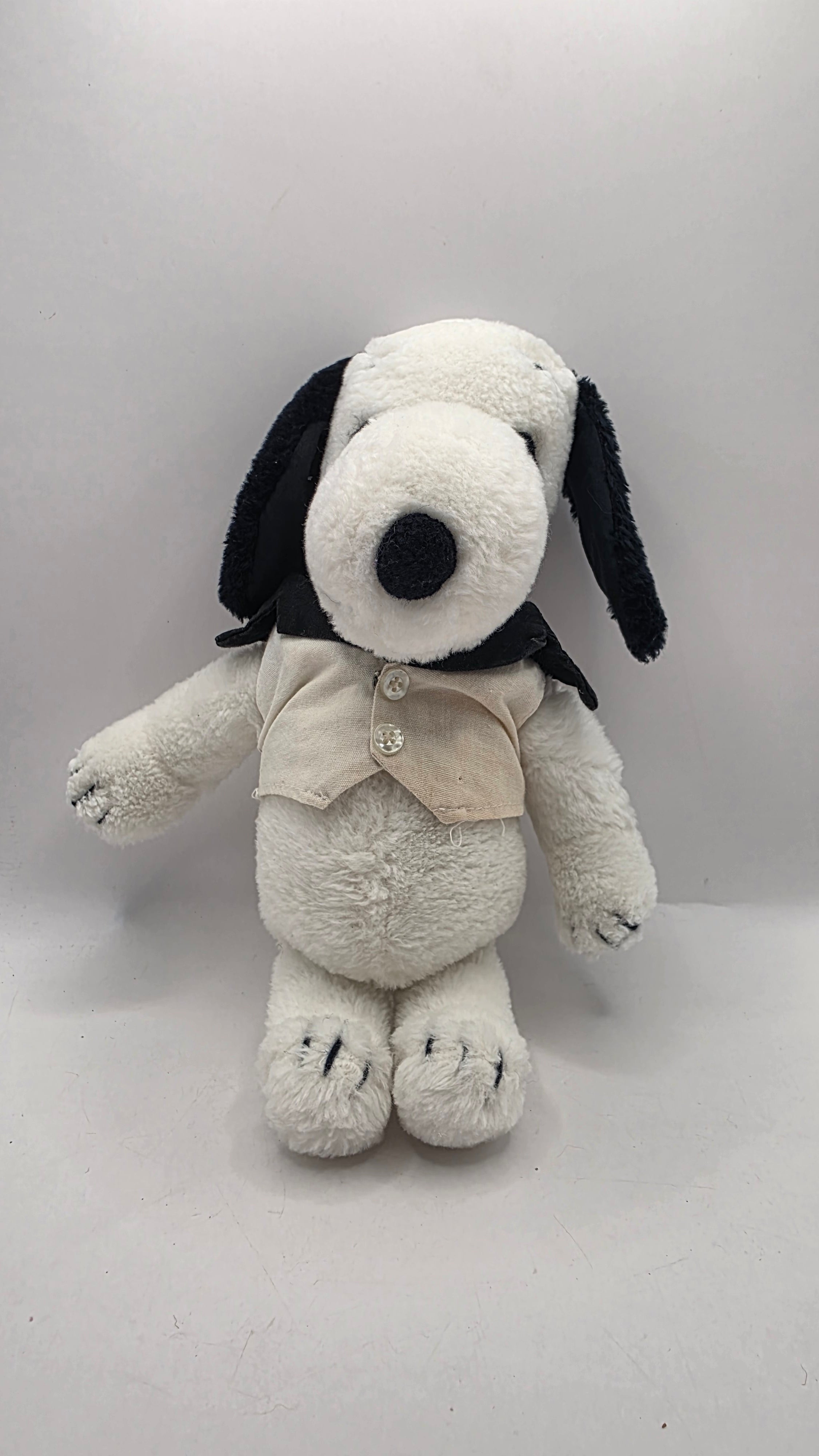 Snoopy With Jacket