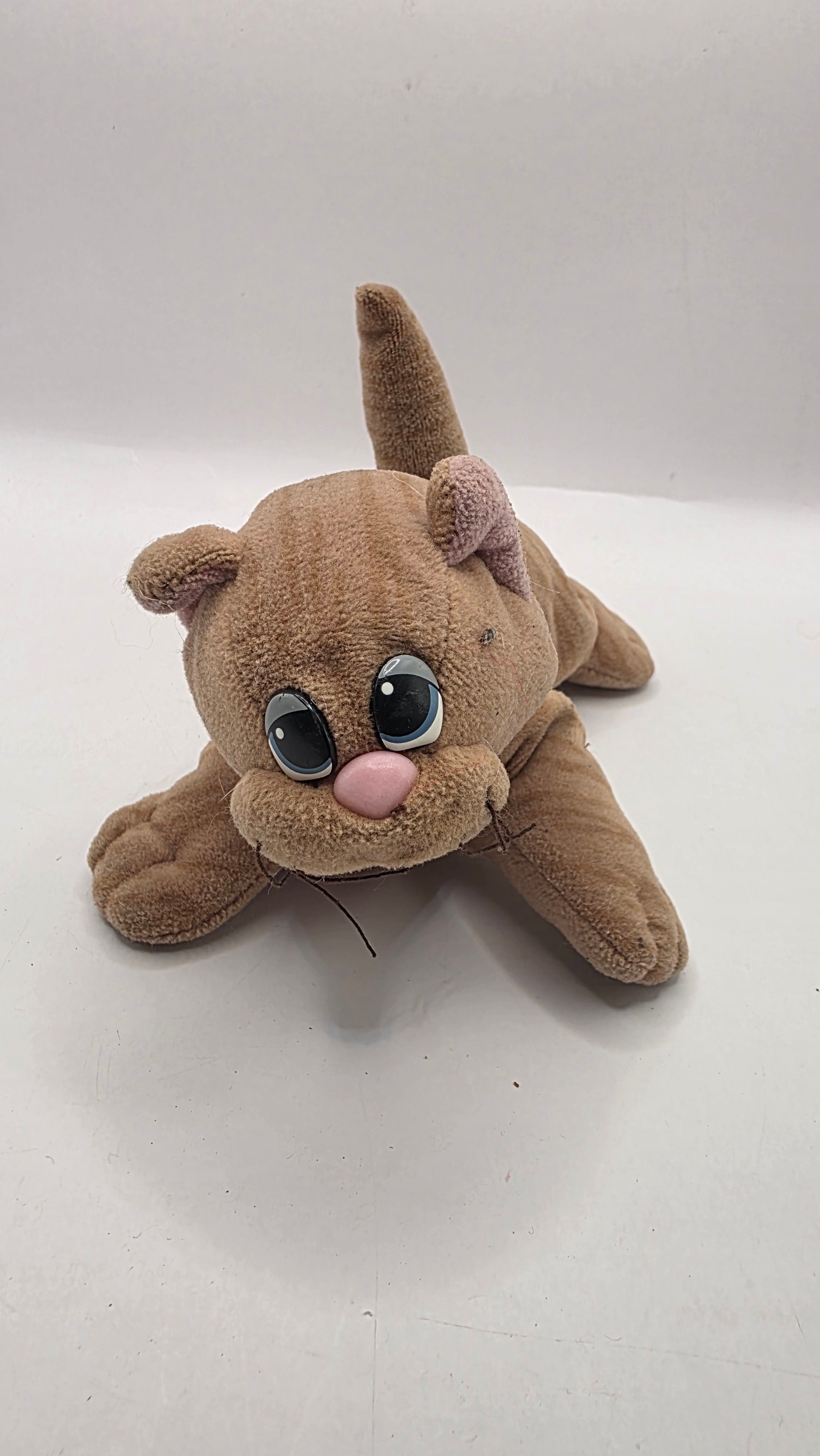Brown Pound Purry