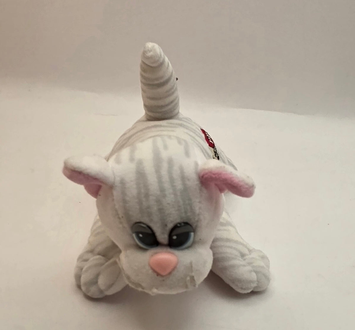 White and Gray Pound Purry