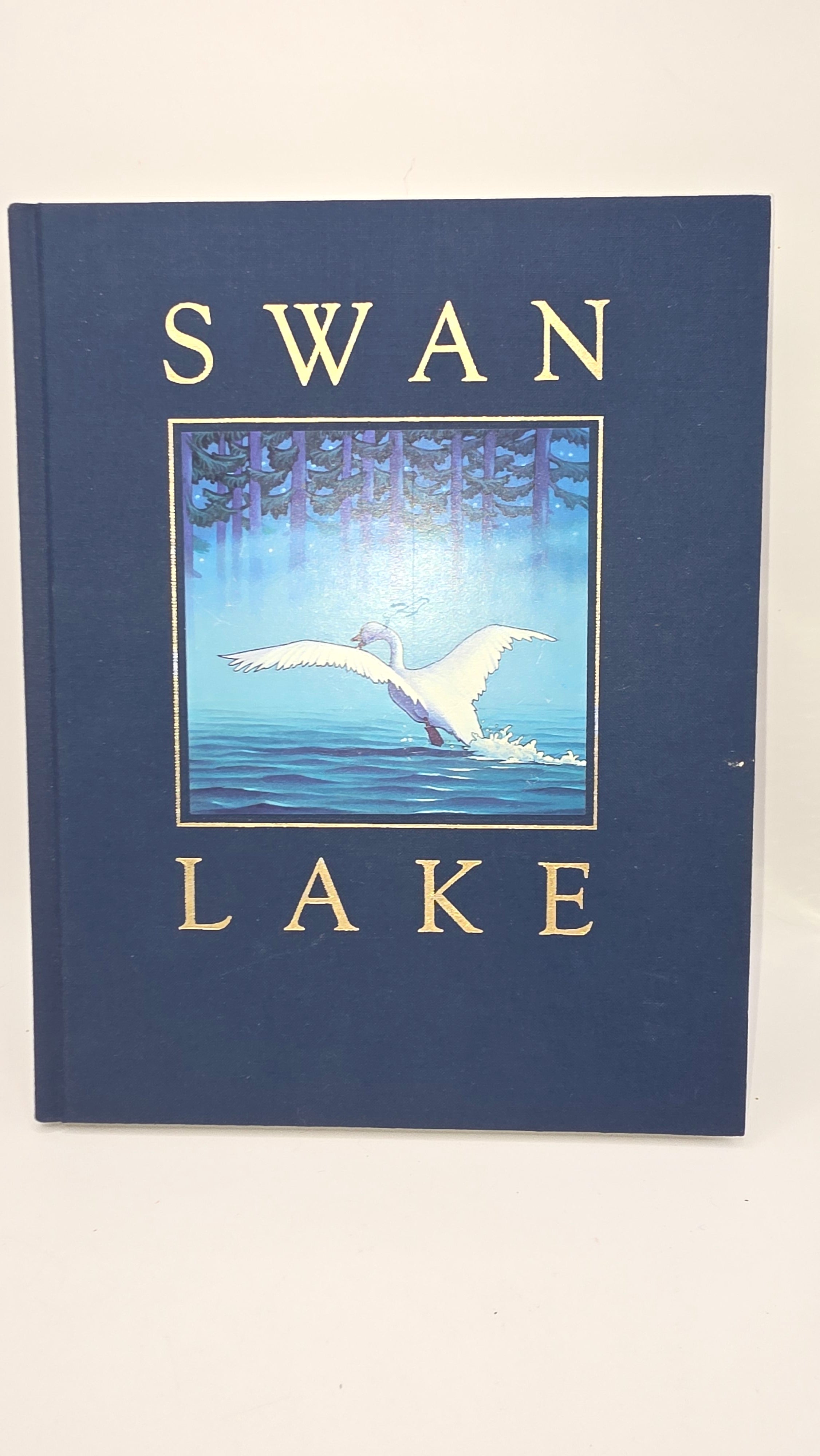 Swan Lake Illiterated