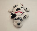 Dalmatian Pound Puppy