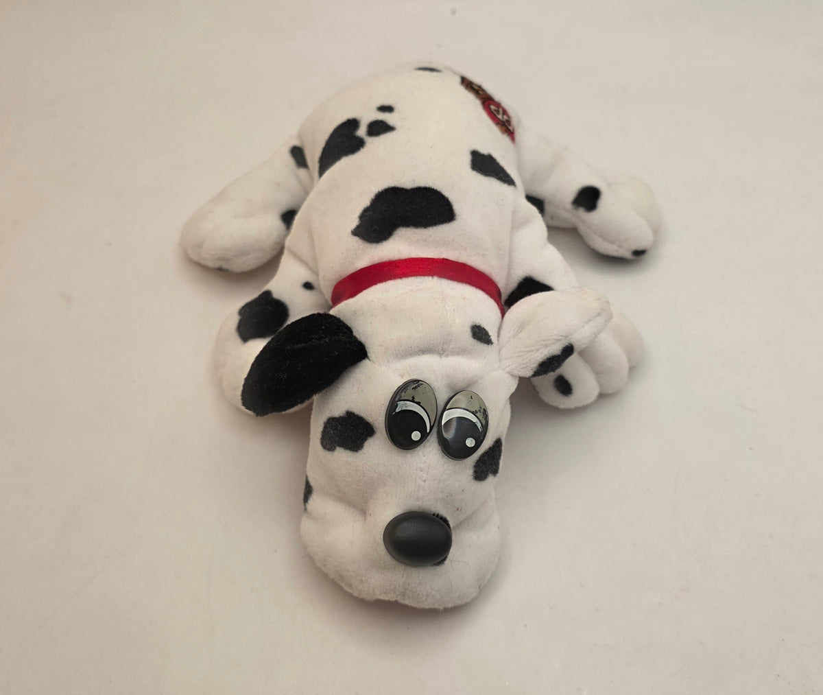 Dalmatian Pound Puppy
