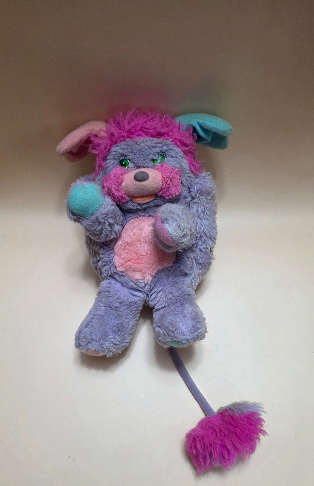 Popples