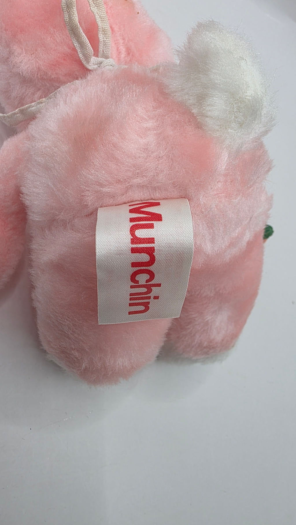 Munchin Bunny