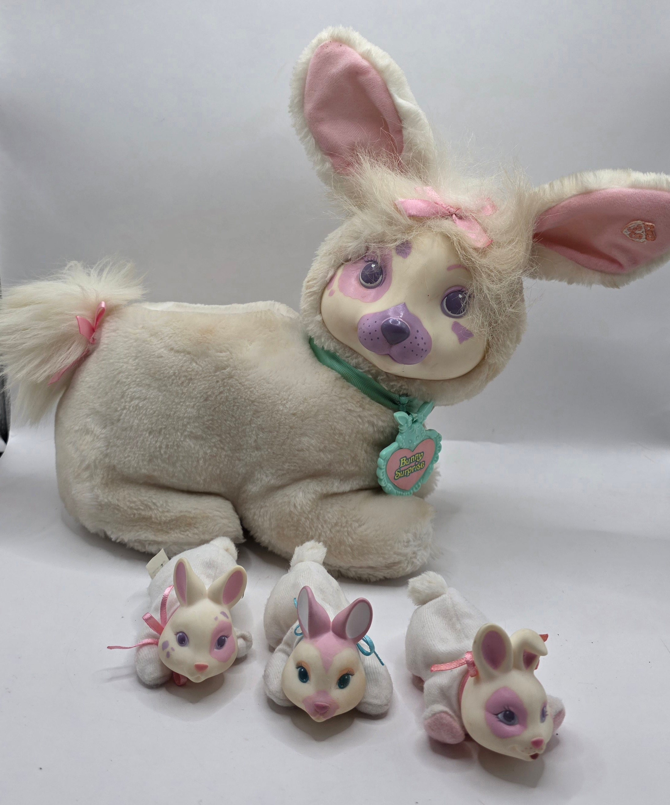 Bunny Surprise and Babies