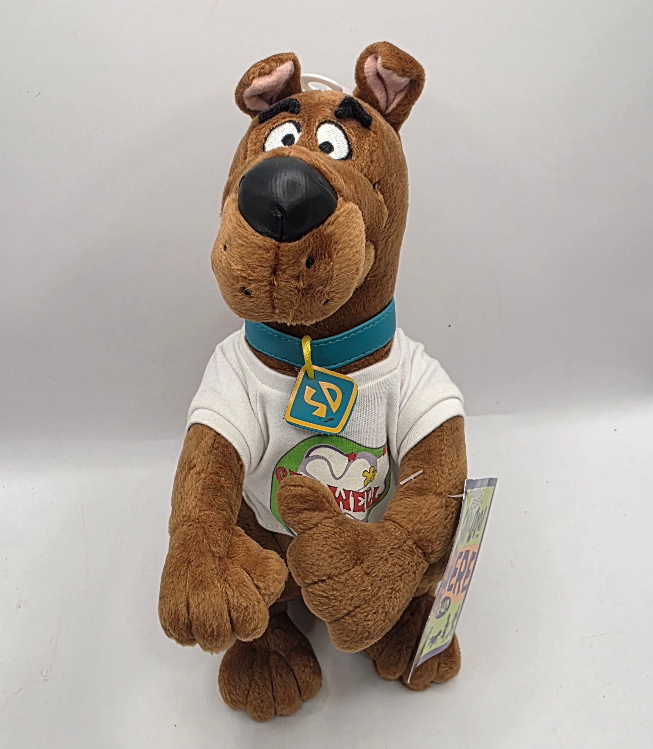 Scooby Doo Get Well Plush