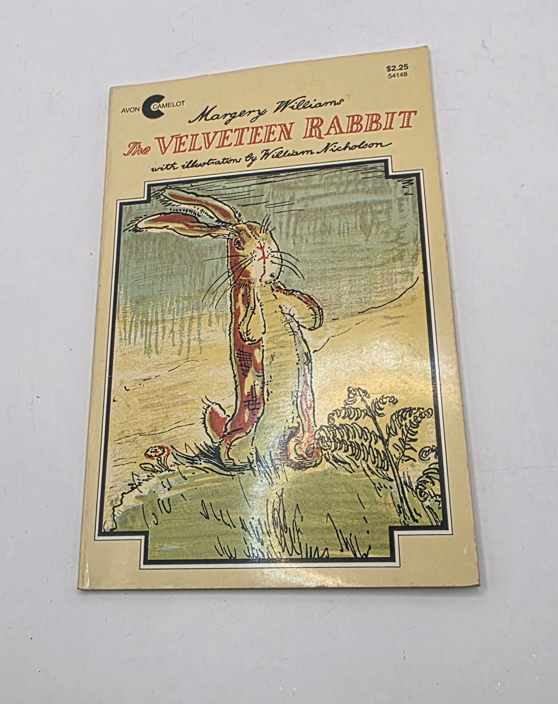 The Velveteen Rabbit Book