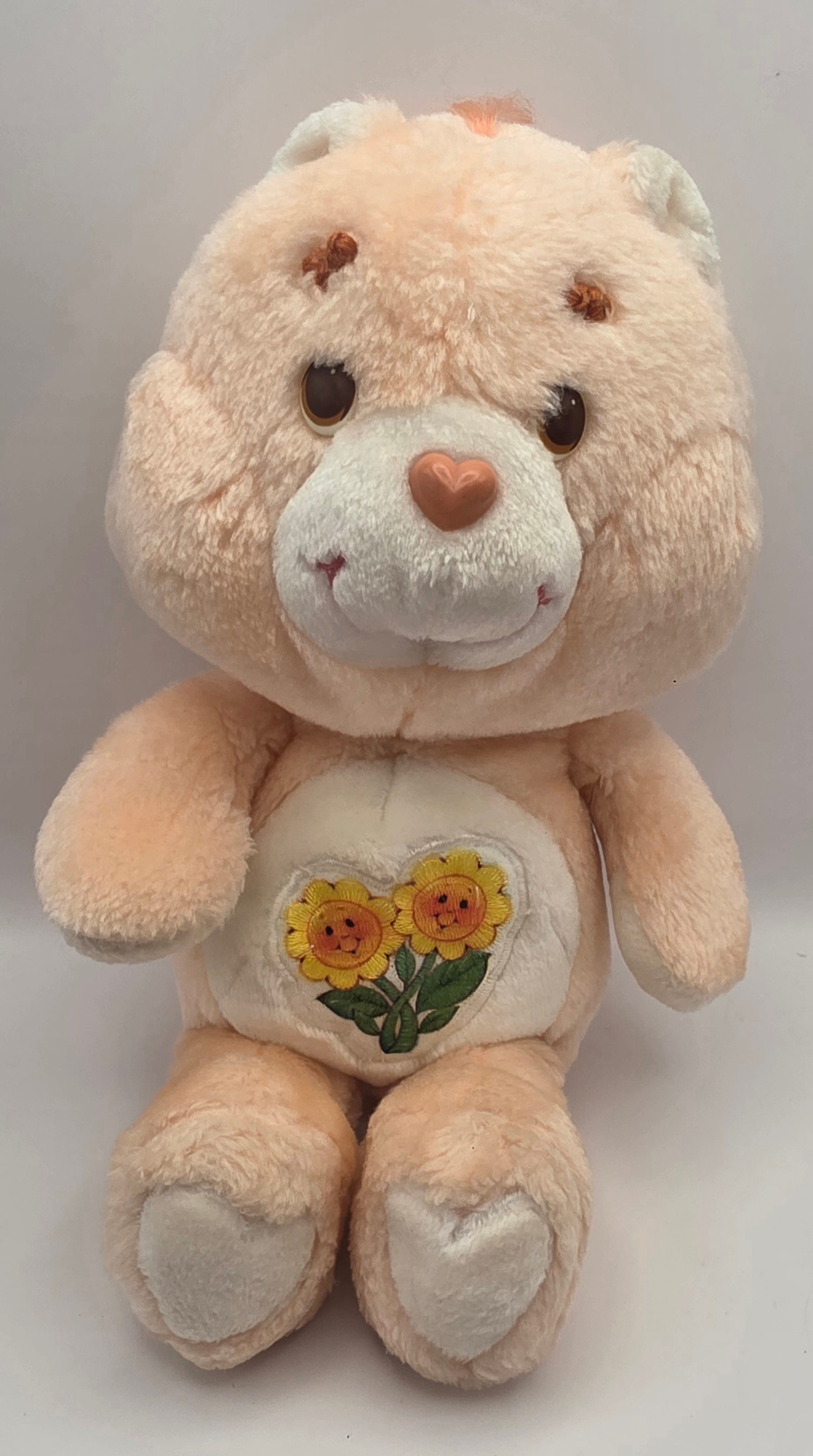 Care Bears 1983 Friendship Bear