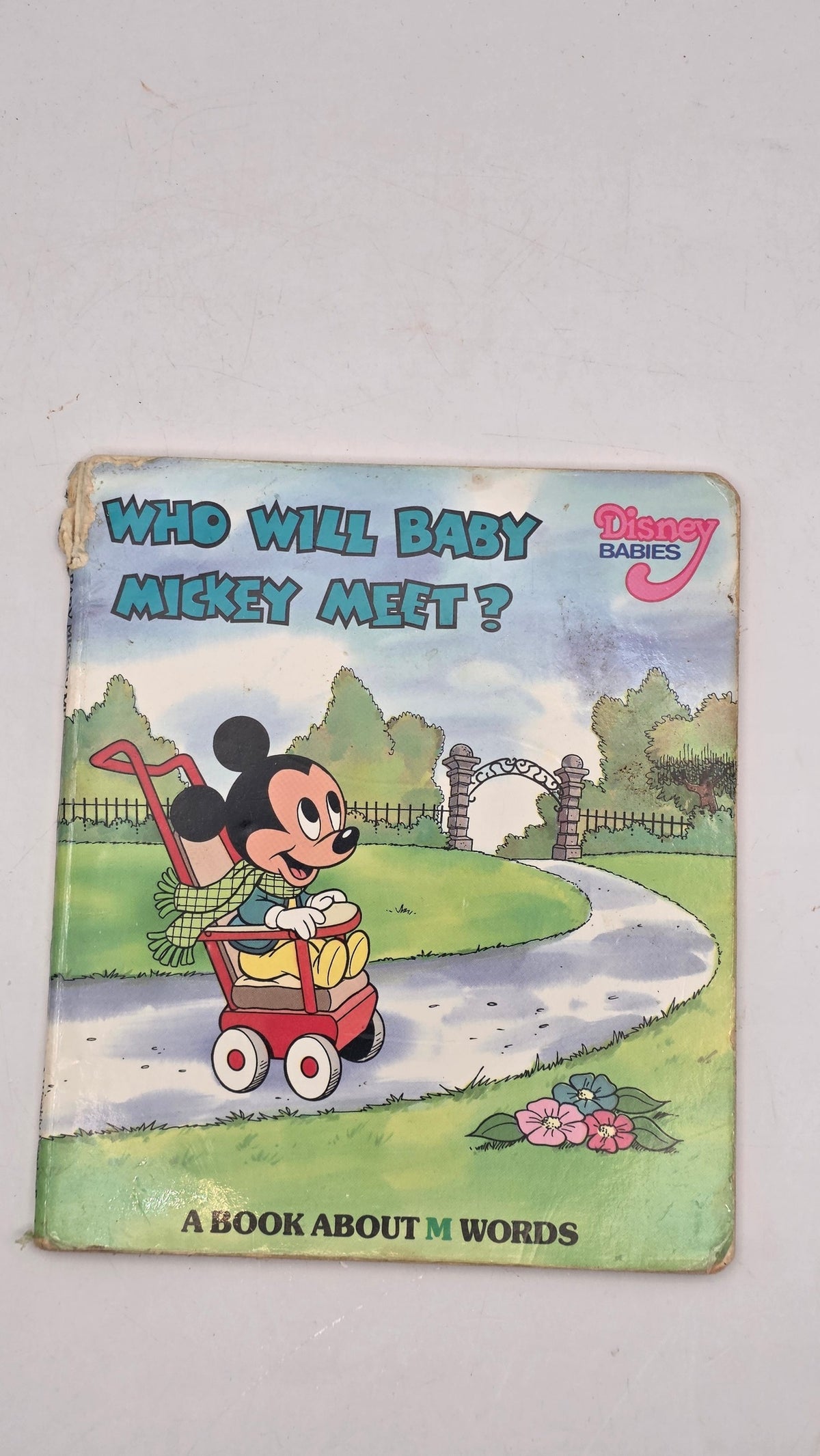 Mickey Mouse Books