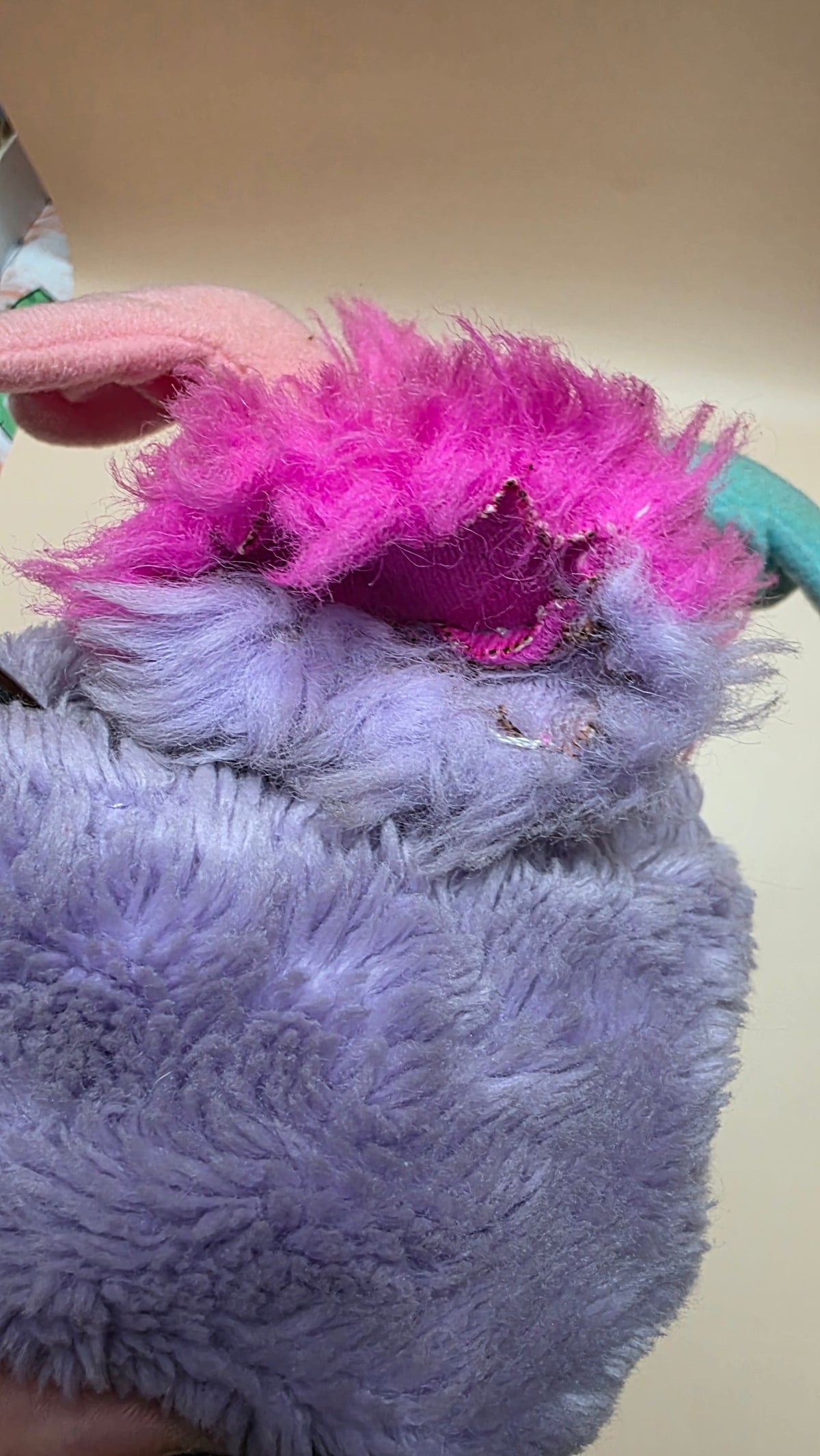 Popples