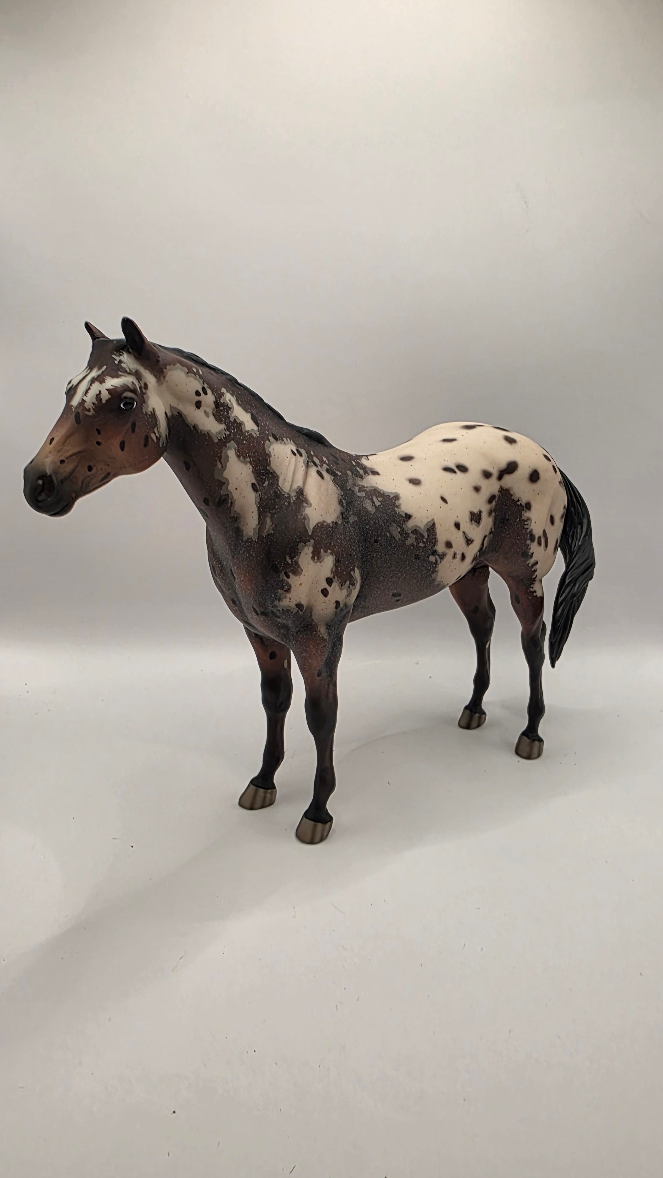2009 Breyer Fest Sprinkles Matte
