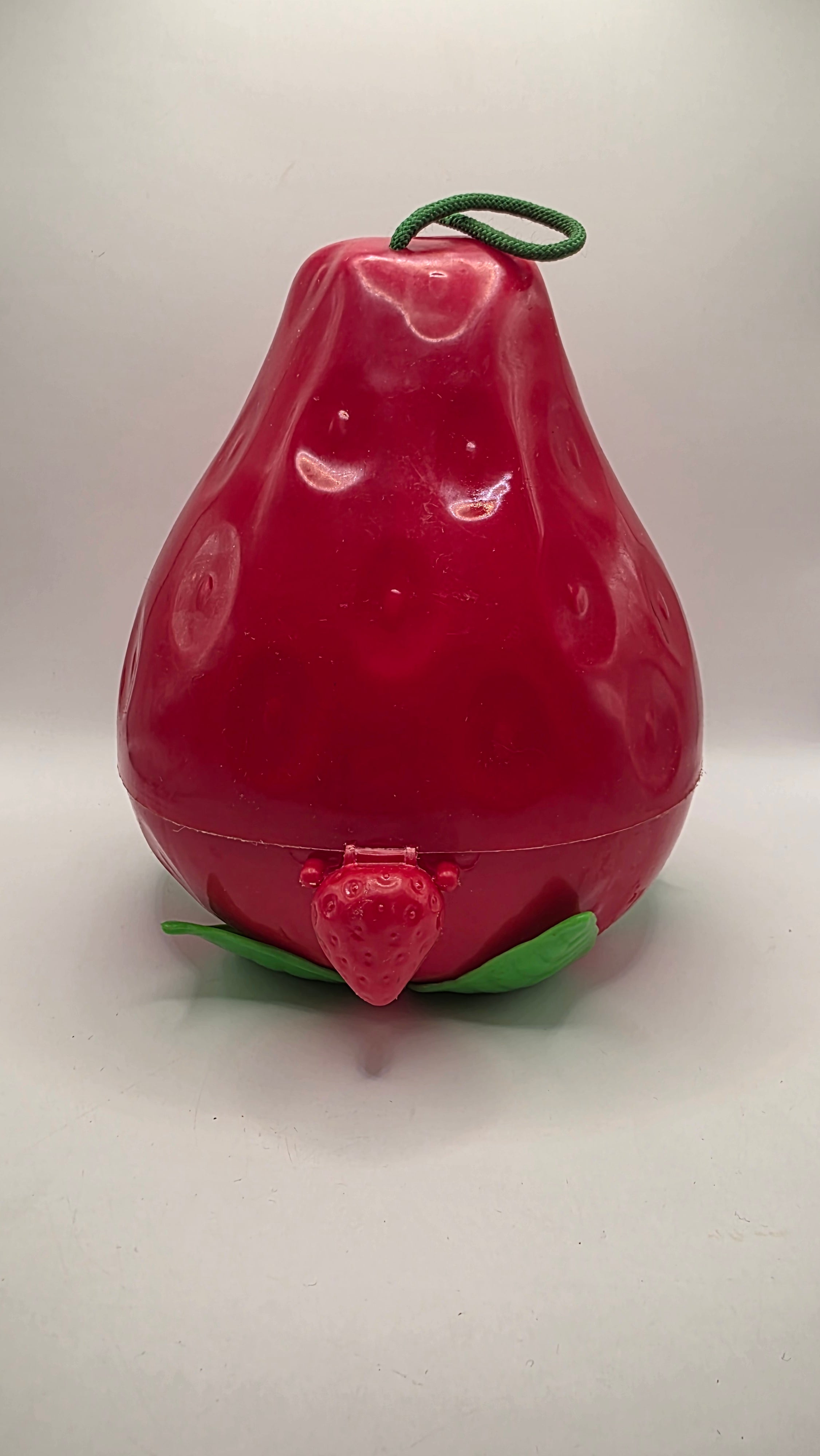 Strawberry Shortcake Berry Case