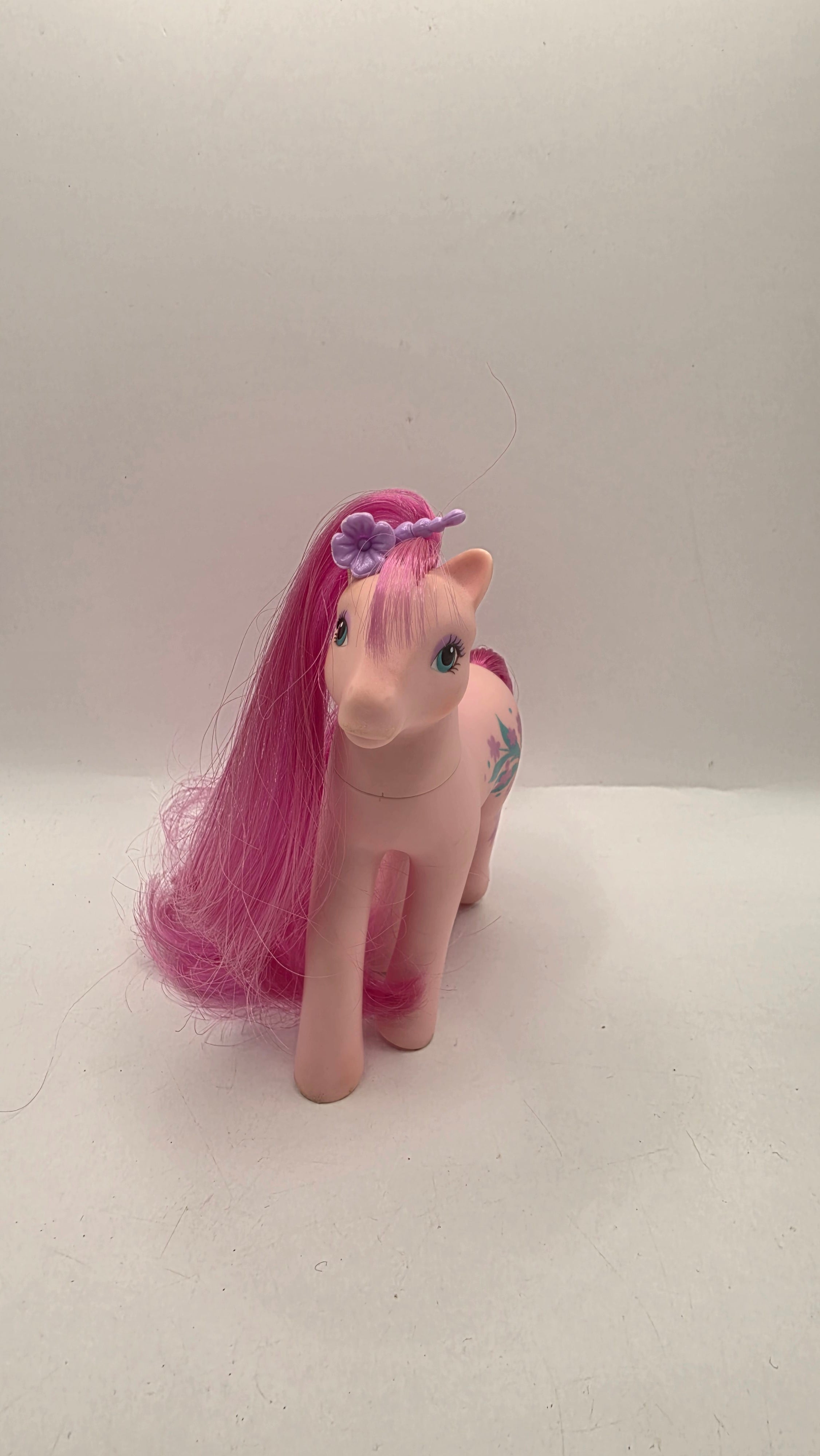 My Little Pony G1 Dainty